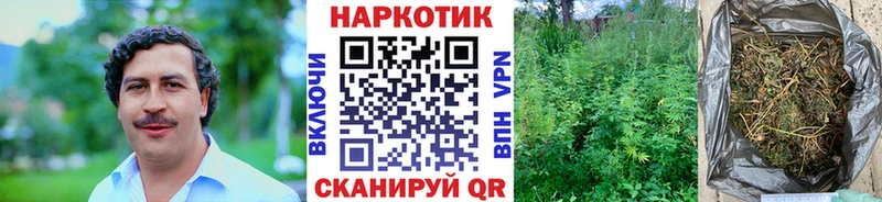 МЕФ Гатчина