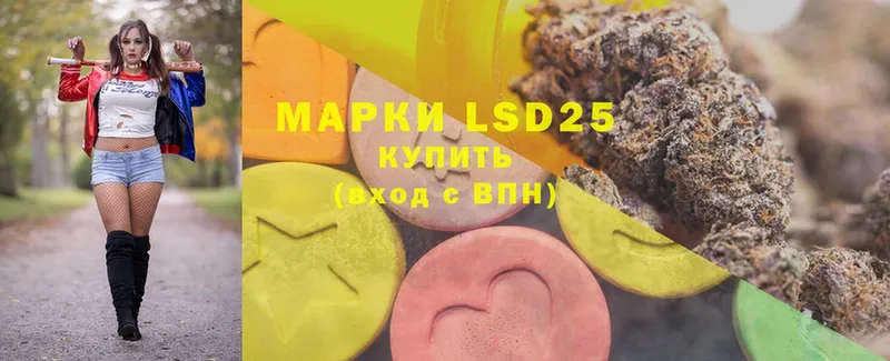 KRAKEN вход  Гатчина  LSD-25 экстази кислота  закладка 