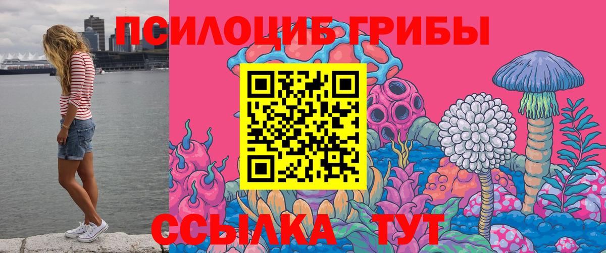 Галлюциногенные грибы Psilocybine cubensis Гатчина