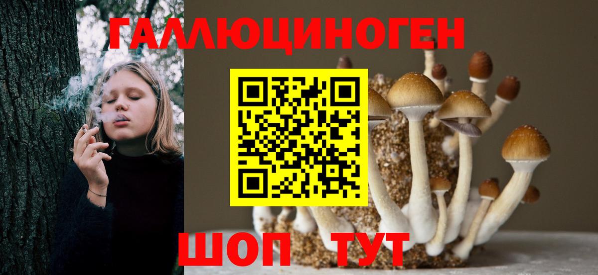 Гатчина  Галлюциногенные грибы прущие грибы  Вход с VPN 