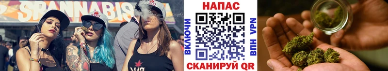 где купить наркоту  Гатчина  Канабис Bruce Banner 